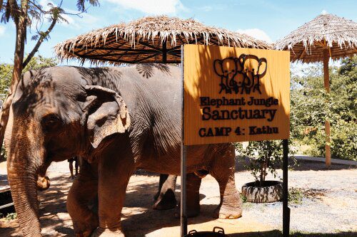 Elephant Jungle Sanctuary sign with elephant Roaming Atlas
