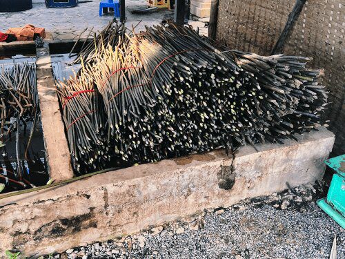 Siem Reap Lotus stems at Lotus Farm Roaming Atlas