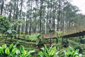 Warung Kopi Gunung Bridge Roaming Atlas